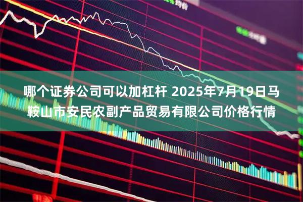 哪个证券公司可以加杠杆 2025年7月19日马鞍山市安民农副产品贸易有限公司价格行情