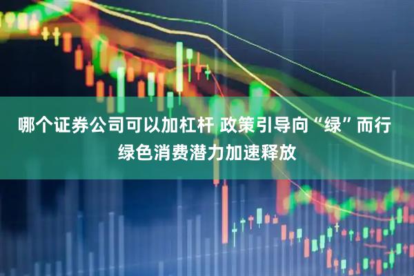 哪个证券公司可以加杠杆 政策引导向“绿”而行 绿色消费潜力加速释放